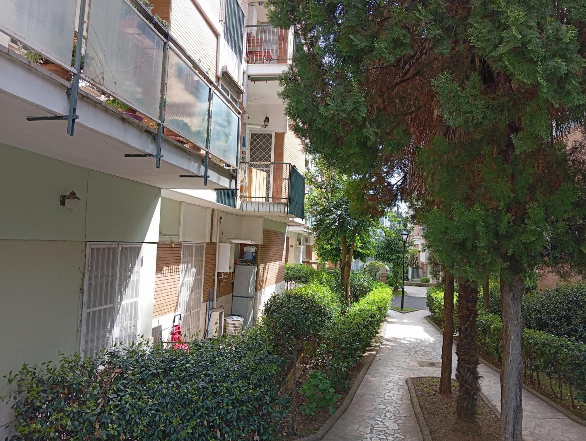 Gemelli - Borgia Roma